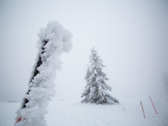 Arosa (GR) a été couvert de 65 cm de neige fraiche depuis mercredi. Cette quantité n'est tombée que trois fois ces 40 dernières années (archives). © Keystone/DPA/PHILIPP VON DITFURTH