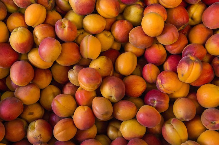 "En moyenne annuelle, le Valais produit 8200 tonnes d'abricots. Cette année, il n'y en aura que 1300 tonnes", selon l'Interprofession des fruits et légumes du canton, particulièrement touché par le gel en avril (archives). © KEYSTONE/ANTHONY ANEX