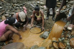 Vastes zones contaminées par l'exploitation aurifère en Colombie