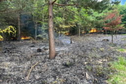 Incendie dans une forêt à Cousset, appel à témoins