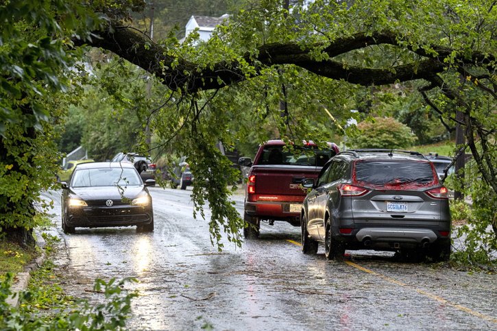 Des véhicules passent sous un arbre tombé sous la force du vent à Dartmouth, dans la province canadienne de Nouvelle-Ecosse, où l'ouragan Fiona a touché terre dans la matinée. © KEYSTONE/AP/Andrew Vaughan
