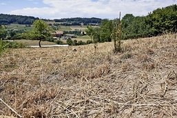 Le Canton de Fribourg encourage financièrement les exploitations agricoles pour faire face au changement climatique