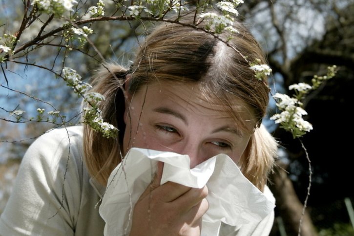 La floraison de certains arbres plus tôt dans la saison fait souffrir les personnes allergiques. © Keystone/