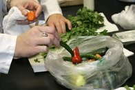 Fribourg: Ouverture d’un centre universitaire des sciences de l’alimentation